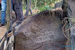 Cerita Penemuan Prasasti Sarungga di Cepogo Boyolali, Awalnya Dikira Batu Biasa