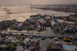 Banjir Rob Rendam Jalur Pantura di Sayung Demak, Lalin Tersendat 7 Km