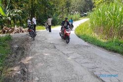 Kondisi Jalan di Wilayah Perbatasan Jomplang, di Grobogan Bagus di Sragen Jelek
