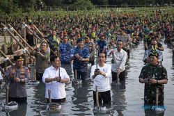 Jokowi Bersama Prabowo, Panglima & Kapolri Nyemplung Tanam Mangrove di Jakarta