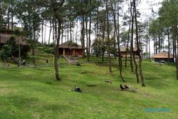 Vanaprastha Park, Tempat Menginap Asyik di Kompleks Candi Gedong Songo Semarang