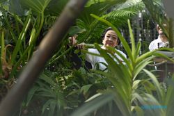 Resmikan Taman Anggrek, Megawati Nostalgia Jadi Anak Presiden Sukarno