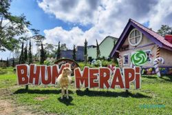 Ini Dia 3 Objek Wisata Mini Zoo Keren di Yogyakarta