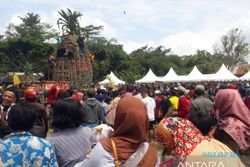 Seru! Ada Festival Nanas di Kaki Gunung Kelud Kediri, Ribuan Nanas Diperebutkan