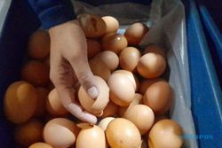 Harga Telur Ayam di Boyolali Rp31.000/Kg, Lebih Mahal Ketimbang saat Lebaran
