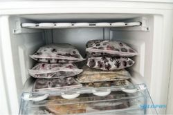10 Cara Menghilangkan Bau Pakaian Tidak Kering, Salah Satunya Masuk Freezer