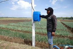 Ikut Program Electrifying Agriculture PLN, Petani Bantul Hemat Biaya hingga 90%
