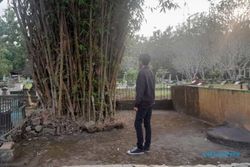 Kisah Pohon Bambu Keramat Dekat Makam Istri Raja Mataram Islam di Wonogiri