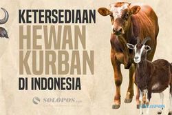 Ketersediaan Hewan Kurban di Indonesia dari Tahun ke Tahun