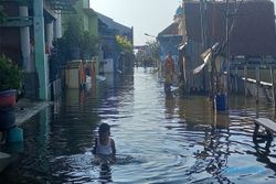 Ini Kata Pakar soal Upaya Pemkot Semarang Tangani Banjir Rob