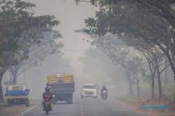 Dampak Kebakaran Hutan & Lahan, Wilayah Banjarbaru Kalsel Diselimuti Kabut Asap