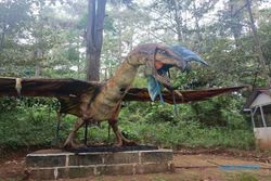 Keseruan Berkunjung ke Dino Park Soko Langit Pekalongan