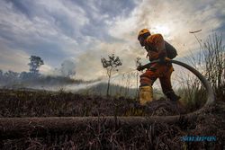 Upaya Pemadaman Karhutla di Kalsel, Luas Lahan Terbakar Capai 109,5 Hektare