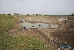 Embung di Indramayu Mengering, Puluhan Hektare Sawah Terancam Gagal Panen