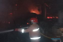 Kebakaran di Plupuh Sragen, Seekor Sapi Bunting Mati Terpanggang