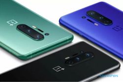 OnePlus akan Kenalkan Ponsel Lipat, Layarnya 8 Inci