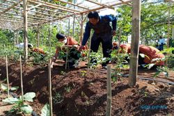 Siswa SMAN 1 Susukan Semarang Belajar Pertanian Organik