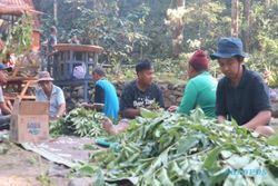 Unik! Tradisi Mot Banyu Desa Gogik Semarang, Semua Hidangan Dimasak Bapak-Bapak