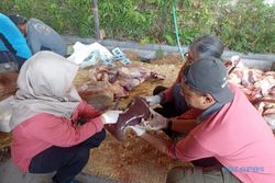 DPP Sukoharjo Temukan Cacing Hati pada Beberapa Hewan Kurban
