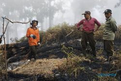 Penyebab Kebakaran Hutan Gunung Arjuno-Welirang: Sengaja Dibakar Pemburu Satwa
