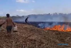 Apes! Kebun Tebu Siap Panen di Pondok Ngadirojo Wonogiri Terbakar saat Iduladha