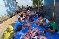 Terbanyak di Kedawung, Desa Pengkok Sragen Sembelih 152 Sapi dan 46 Kambing