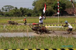 Seru! Puluhan Peserta Adu Kecepatan dan Ketangkasan Balap Traktor di Klaten