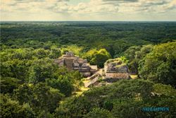Pilar-pilar Batu Sisa Kota Maya yang Hilang Ditemukan