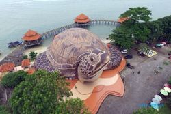 Inilah Kura-kura Ocean Park, Destinasi Wisata Edukasi di Pantai Kartini Jepara