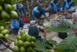 Tradisi Kenduri Wiwitan Kopi di Boyolali, Wujud Syukur Petani Atas Hasil Panen