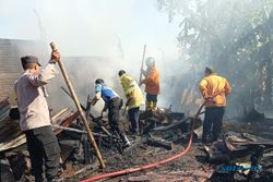 Kasihan, 14 Kambing Hangus Terbakar di Bulusulur Wonogiri