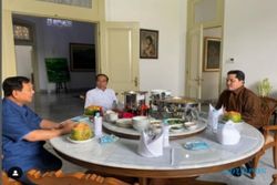 Misteri Pertemuan Jokowi, Prabowo dan Erick Thohir, Gerindra Sebut Biasa Saja