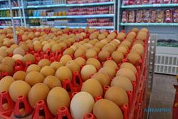Stok Melimpah, Indonesia Ekspor 557.280 Butir Telur Ayam ke Singapura