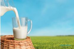 Konsumsi Susu Bayi di Boyolali dan Klaten Tertinggi, 1,7 Gram per Kapita/Pekan