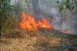 Polres Karanganyar Tahan 4 Orang yang Diduga Sebabkan Kebakaran Hutan dan Lahan