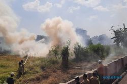 Lahan Sultan Ground 2,5 Hektare di Bantul Kebakaran, 4 Mobil Damkar Dikerahkan