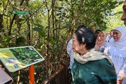 Kebun Raya Mangrove di Surabaya Diresmikan, Ini Pesan Megawati