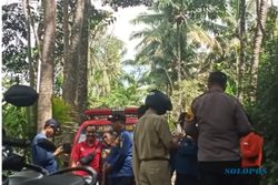 Apes! Gegara Sarang Lebah Jatuh di Karangnongko Klaten, 3 Orang Masuk RS