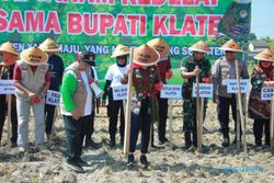 Keren! Tegalrejo Klaten Ditetapkan Jadi Desa Sadar Kerukunan Berbasis Pertanian