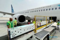 Garuda Indonesia Angkut 6 Ekor Komodo dari Jakarta menuju Labuan Bajo