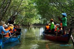Hutan Mangrove Tapak Tugu Semarang, Berfungsi Cegah Abrasi Sekaligus Ekowisata