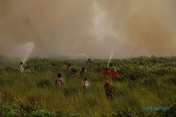 Darurat Karhutla, Walhi Temukan 7.376 Titik Api di 235 Konsesi Sawit di Kalbar