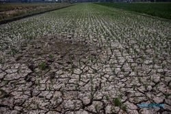 Kekeringan Meluas, 8.000 Jiwa di 3 Kecamatan di Sukoharjo Kekurangan Air Bersih