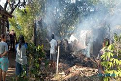Kandang Ternak di Sruwen Semarang Terbakar, 2 Sapi & 4 Kambing Mati Terpanggang