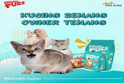 Marak Street Feeding, Pakan Kucing Dry Food Kemasan Botol Makin Diminati