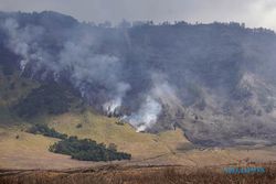 Savana Gunung Bromo Terbakar, BB TNBTS Kerahkan Tim Gabungan Padamkan Api