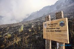 Kebakaran Hutan Berhasil Dipadamkan, Kawasan Wisata Bromo Kembali Dibuka