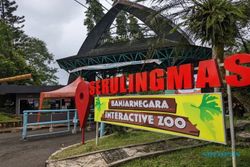 Serulingmas Zoo Banjarnegara, Kebun Binatang yang Tak Pernah Sepi Pengunjung