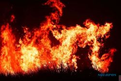 3 Bulan, 142 Insiden Kebakaran Terjadi di Bantul, Terbanyak Gegara Bakar Sampah