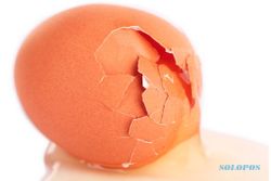 Waspadai Dampak Egg Crack Challenge yang Sempat Viral di TikTok